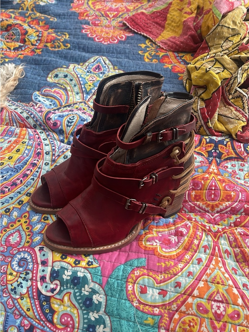 Freebird by Steven Burgundy Leather Strappy Sandals with Buckle Detail - Picture 2 of 2